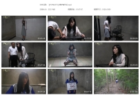 【YSYN0273】嫉妒的代价