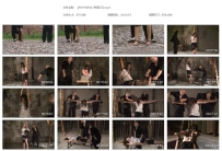 【HJYY0081】刑讯凡凡