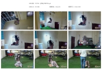 YT2768 【泽爱】笼中对