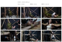 【YSYN0251】秘杀