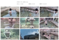 YT2714 【落叶】水