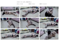 YT2796 【佟司】【缇娜】联震